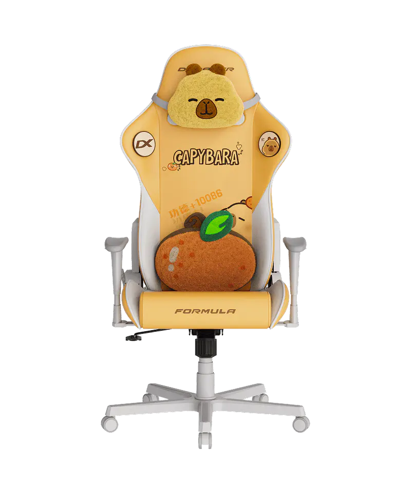 GC/LFD25LTA/CAPYBARA